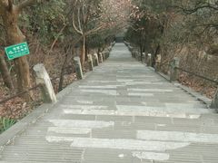 -窦圌山风景区