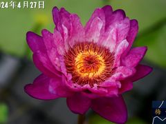 -国家植物园南园