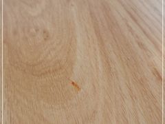 -顾一碗馄饨·烧麦(儿童医学中心店)