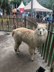 -萌宠亲子动物乐园(槐房万达店)