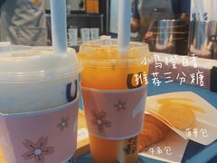 -春丽小马(济南恒隆广场店)