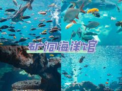 -长鹿旅游休博园