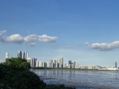 -福田红树林生态公园
