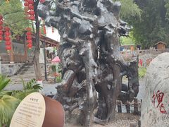-大槐树寻根祭祖园