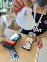 -IMON·HANSA潮玩玩偶毛绒玩具(通州万象汇店)