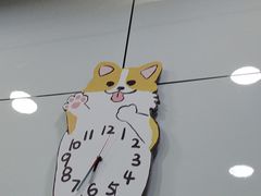 -pd派德宠物中心医院24H急重症·眼科中心·血液透析中心(嵩山北路店)