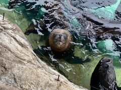 -珠海长隆海洋王国