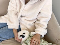 -怪兽屋·羊驼·猫咖·狗咖(俊华广场店)