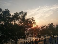 -宝安西湾红树林湿地公园