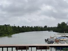 -东寨港红树林旅游区