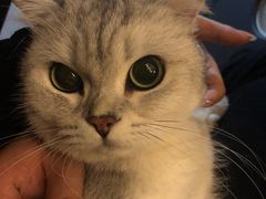 -悠米私人影院(街道口店)