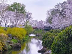 -羊山湖公园