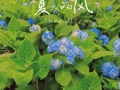 -临平公园(临平街道)