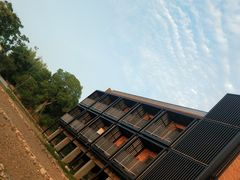 -阳光钱柜KTV(八一路店)