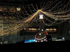 -上海浦东嘉里大酒店