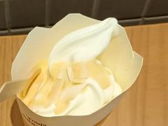 姜撞脆椰椰麦旋风-麦当劳(朝阳北路店)