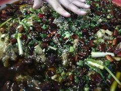 -东吴霸王兔(松青路店)