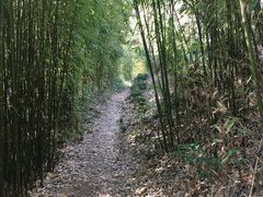 -井空里大峡谷