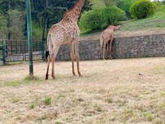 -沈阳森林动物园