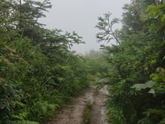 -东白山