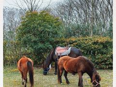 -合肥三国新城遗址公园