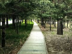 -森林公园(尖草坪区)