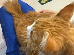 -平行世界·猫咖(首经贸店)
