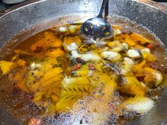 蜀龙阁水煮鱼-雲蜀龙阁·金牌水煮鱼(方庄店)