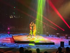 -珠海横琴长隆《卡卡虎奇遇记》