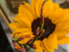 -宫燕府·京菜·烤鸭·淮扬菜(王府中心店)