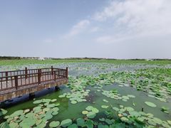 -天津东丽湖风景区