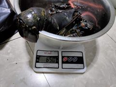 -三亚湾水产综合交易市场