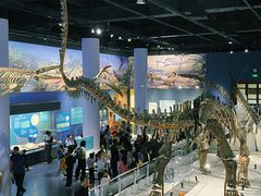 -国家自然博物馆