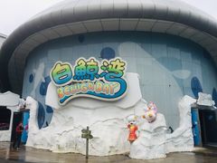-海合安武汉极地海洋公园