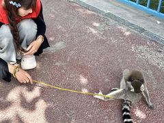 -水上乐园·欢乐世界