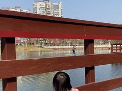 -新江湾城公园
