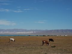 -青海湖国家重点风景名胜区