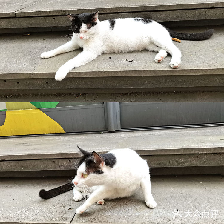 广州旅游拍照打卡|广州T.I.T创意园，0元拍照创意园📸