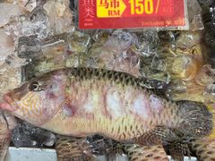 -大茄来海鲜餐厅(亚洲城分行)