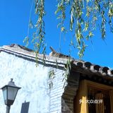 抬头见喜[爱心]帝都文艺又好喝的咖啡店☕️