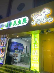 -神奇动物撸宠馆·羊驼·小浣熊·异宠(豫园店)