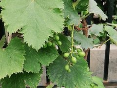 -湘邻呷铺·田园家宴(汉基广场店)