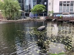 -苏州河梦清园环保主题公园