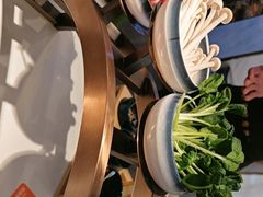 -烹然四季椰子鸡火锅(姚家园万象汇店)