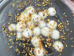 -鞠氏黑芝麻糊(水塔店)