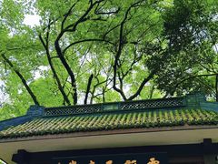 -素描餐厅(灵隐天竺店)