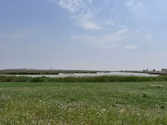 -盐城丹顶鹤湿地生态旅游区