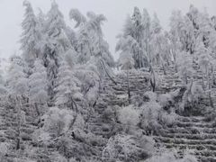 -哈尔滨西站(地铁站)