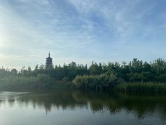 -高旻寺