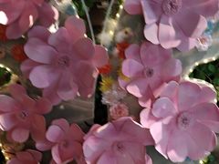 -云尊府云南菜·蒸汽石锅鱼(学清路店)